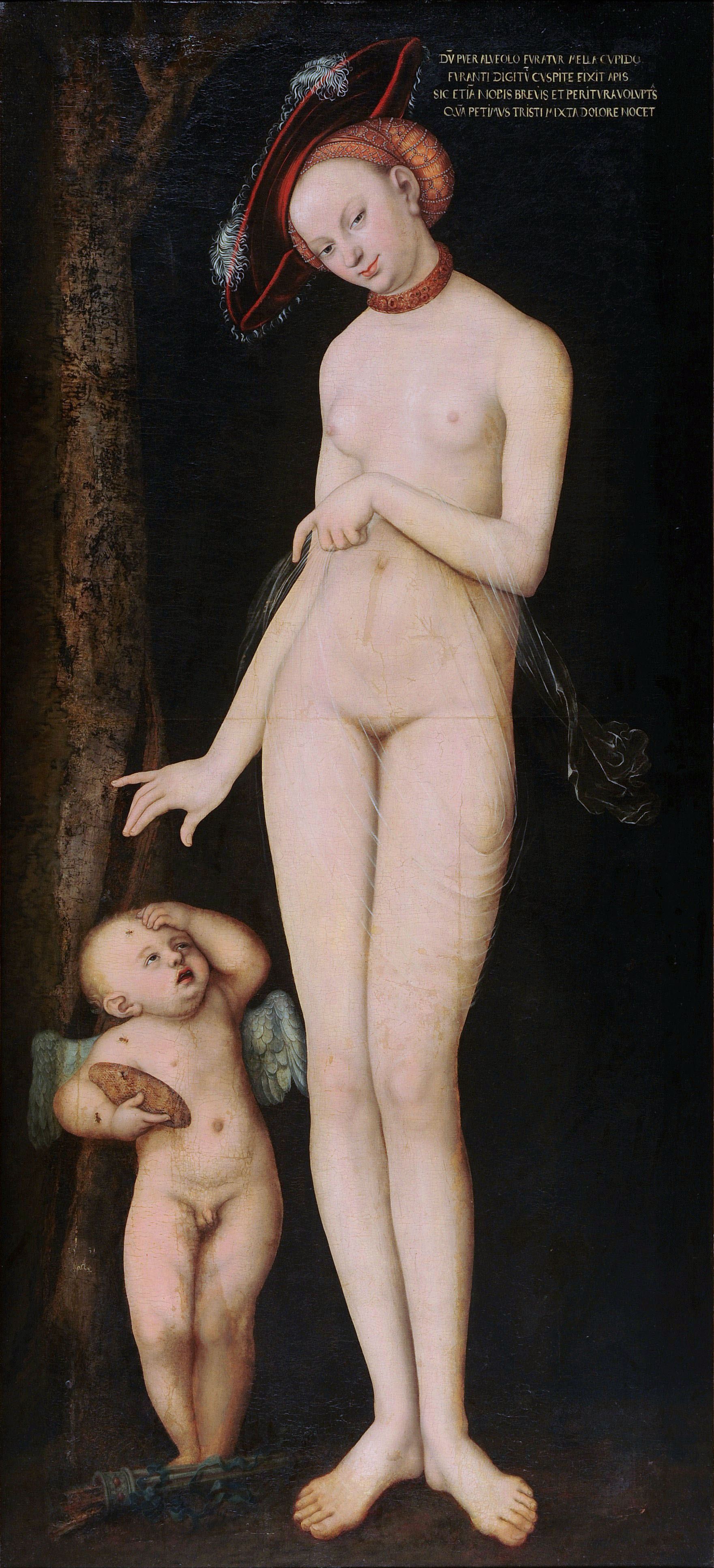 10Lucas_Cranach_d._?._-_Venus_and_Cupid_-_WGA05644FXD.jpg