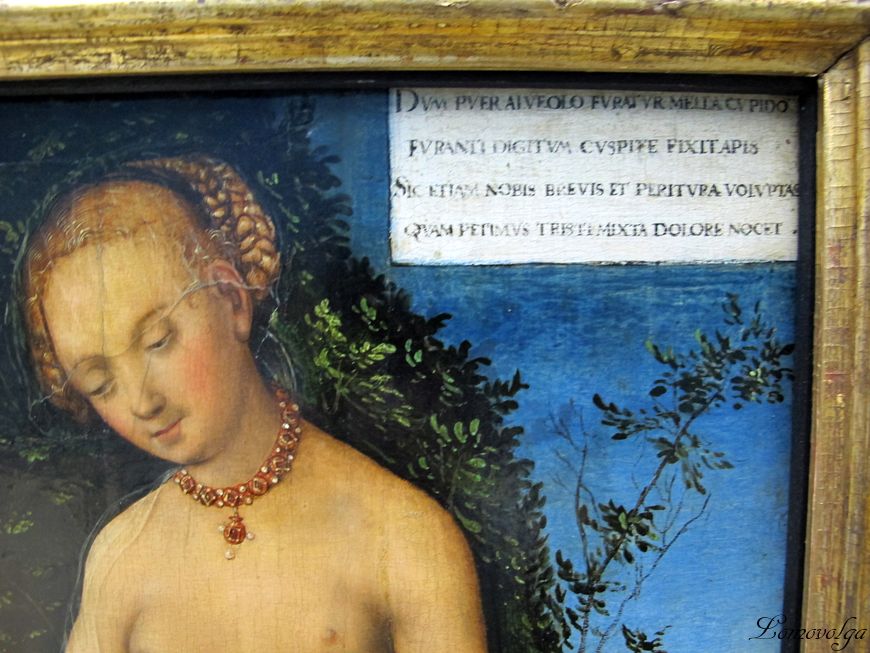 15Cranach_il_vecchio,_venere_con_cupido_e_un_favo_di_m_.jpg