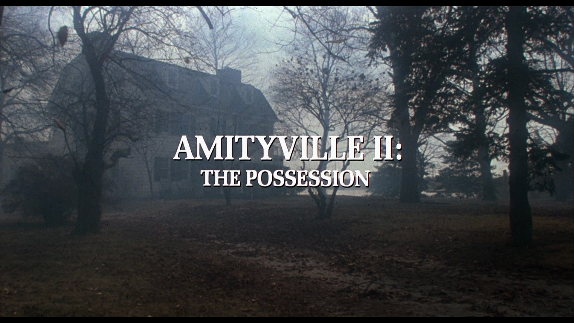 Amityville.II_The.Possession.1982.Shout.Factory.BDRemux.1080p.mkv_20260226_091609.268.png