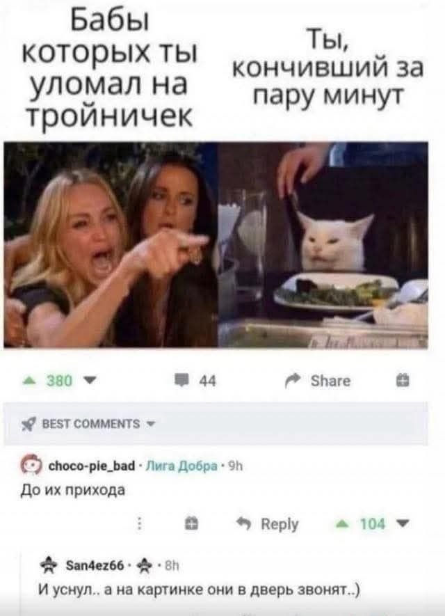 3621a0f1ddb5c8f33665ca9fdbbf40bc.jpeg