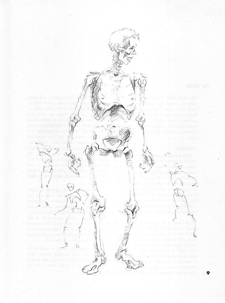 Stephen Rogers Peck - Atlas of Human Anatomy for the Artist - 1982_pic25.jpg