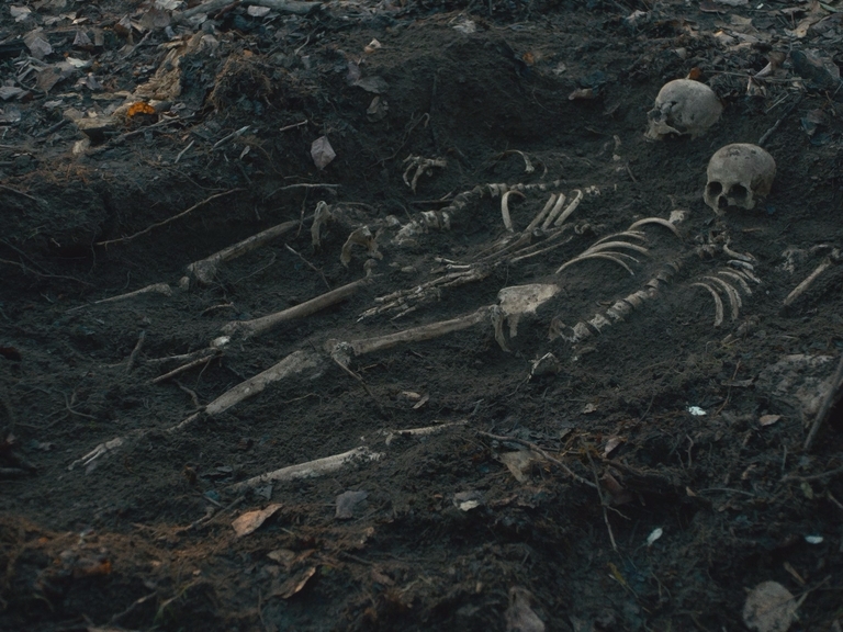 Первая корова.2019.BDRip AVC msltel.mkv_snapshot_00.07.24.619.jpg