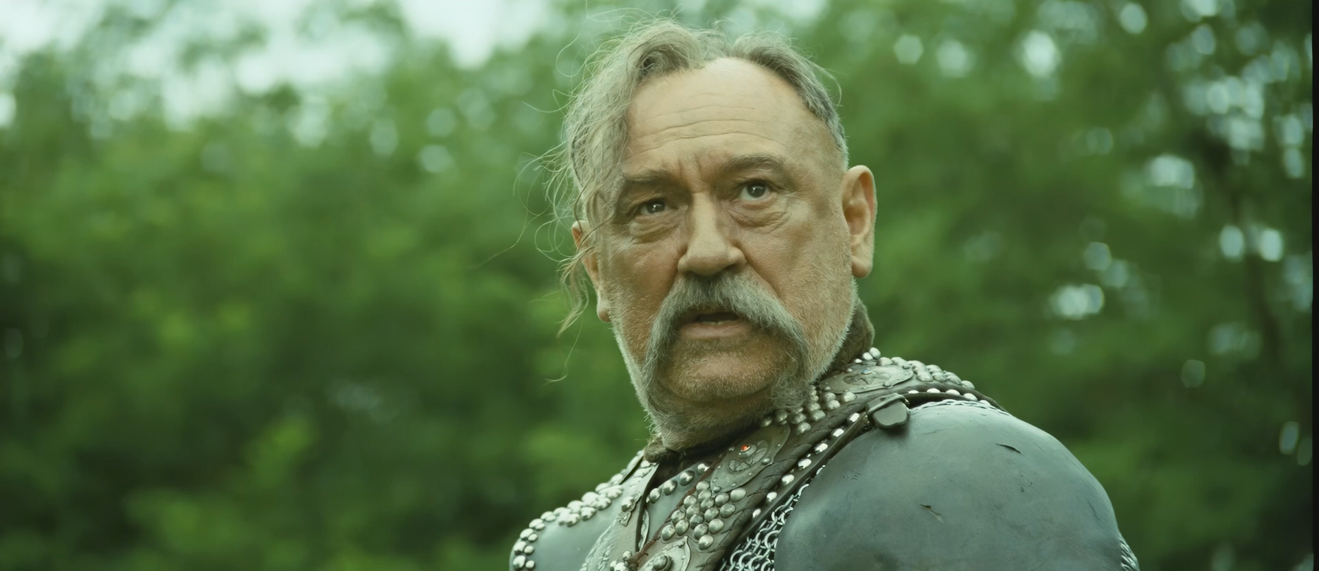 Тарас Бульба (2009).mkv_snapshot_01.33.15.465.png