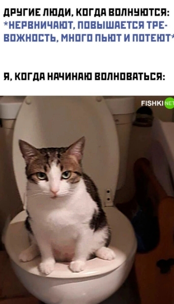 Скриншот 10-03-2026 013242с..jpg