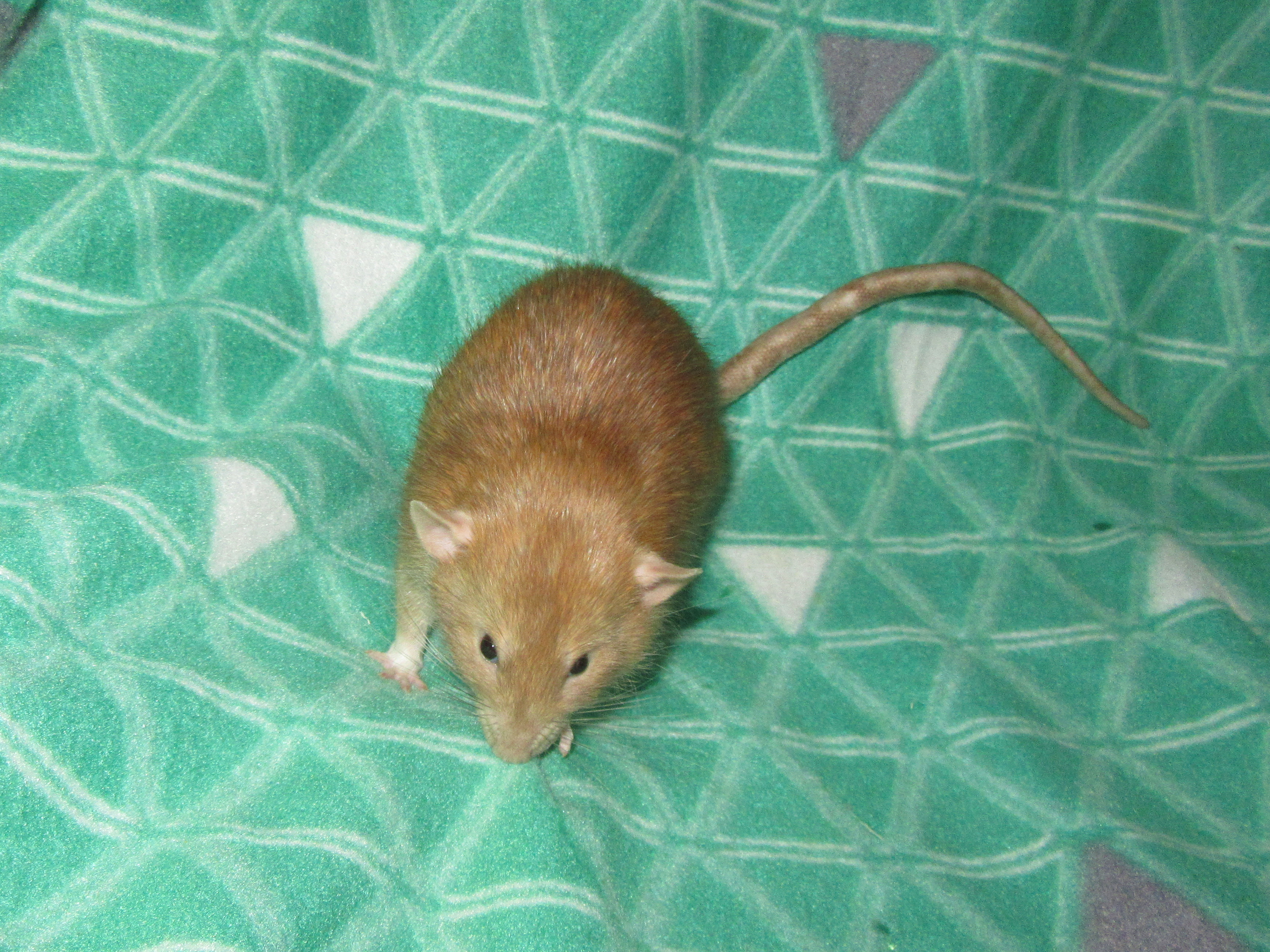 J4 Юрчик 01.jpg