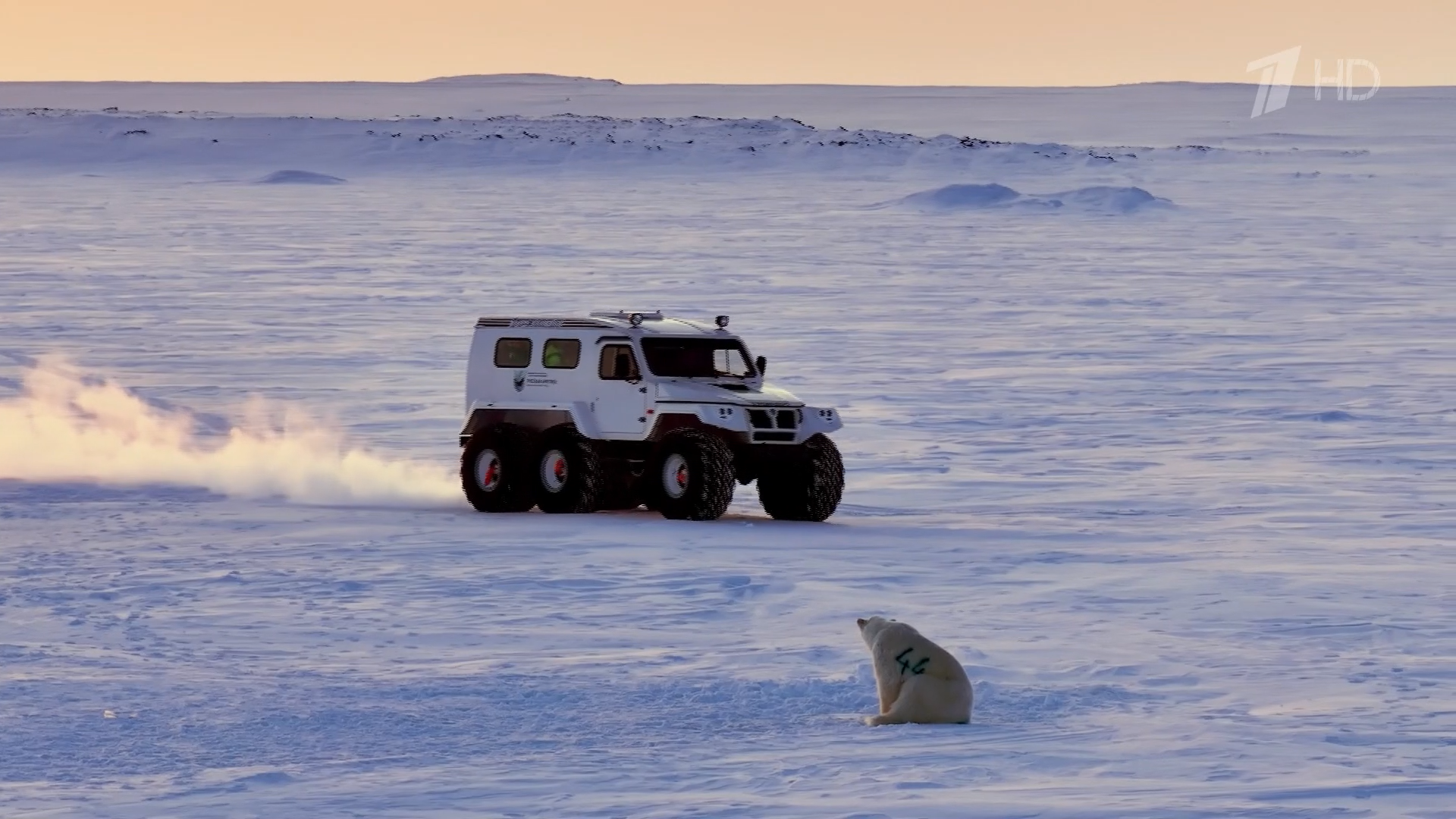 Арктический.трилистник.2026.HDTV.1080i-ylnian.mkv_snapshot_17.02.571.png