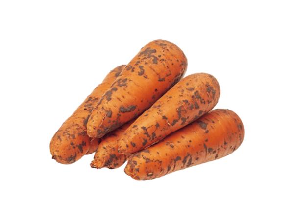 Пермский край получил 20,7 тонн моркови из Киргизии