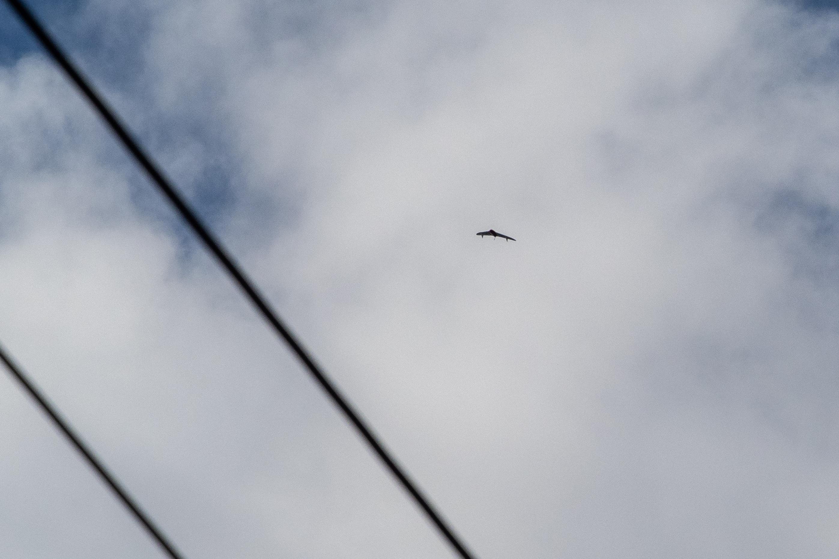 155 беспилотников атаковали Россию: закрыты 17 аэропортов, в Ярославской области погиб ребенок