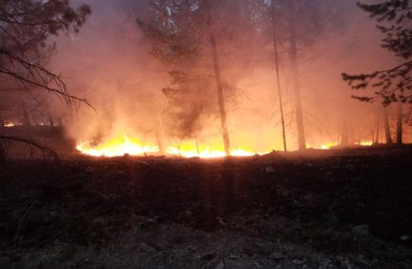 Аномальная жара накроет Пермский край с 1 апреля