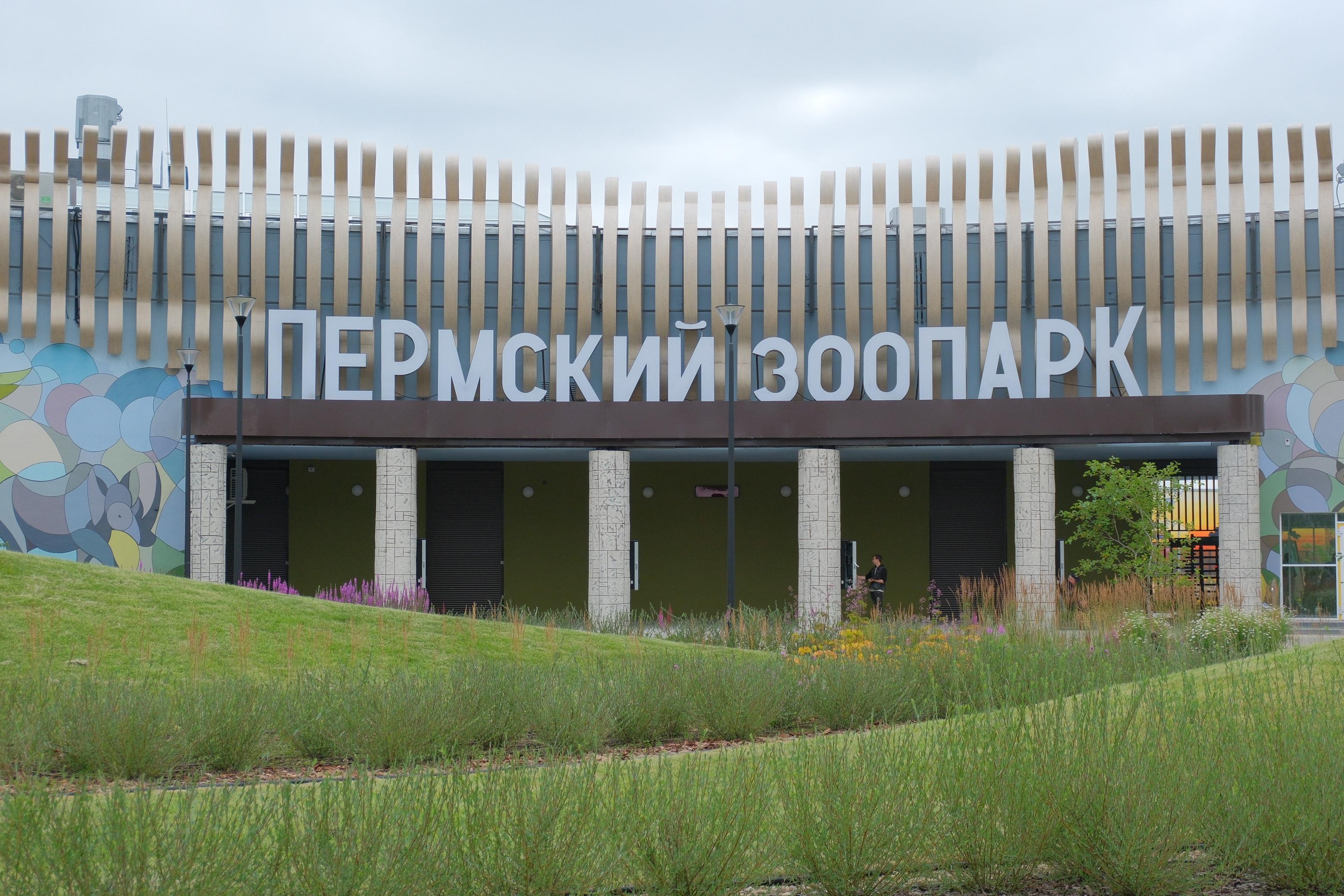 В Перми проезд на электричке снизит стоимость билета в зоопарк почти вдвое