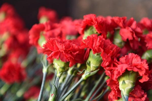 В Пермском крае скончалась учительница после нападения школьника в Добрянке