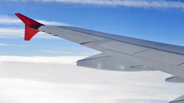 Жители Пермского края смогут посещать Саудовскую Аравию без виз с 11 мая 2026 года