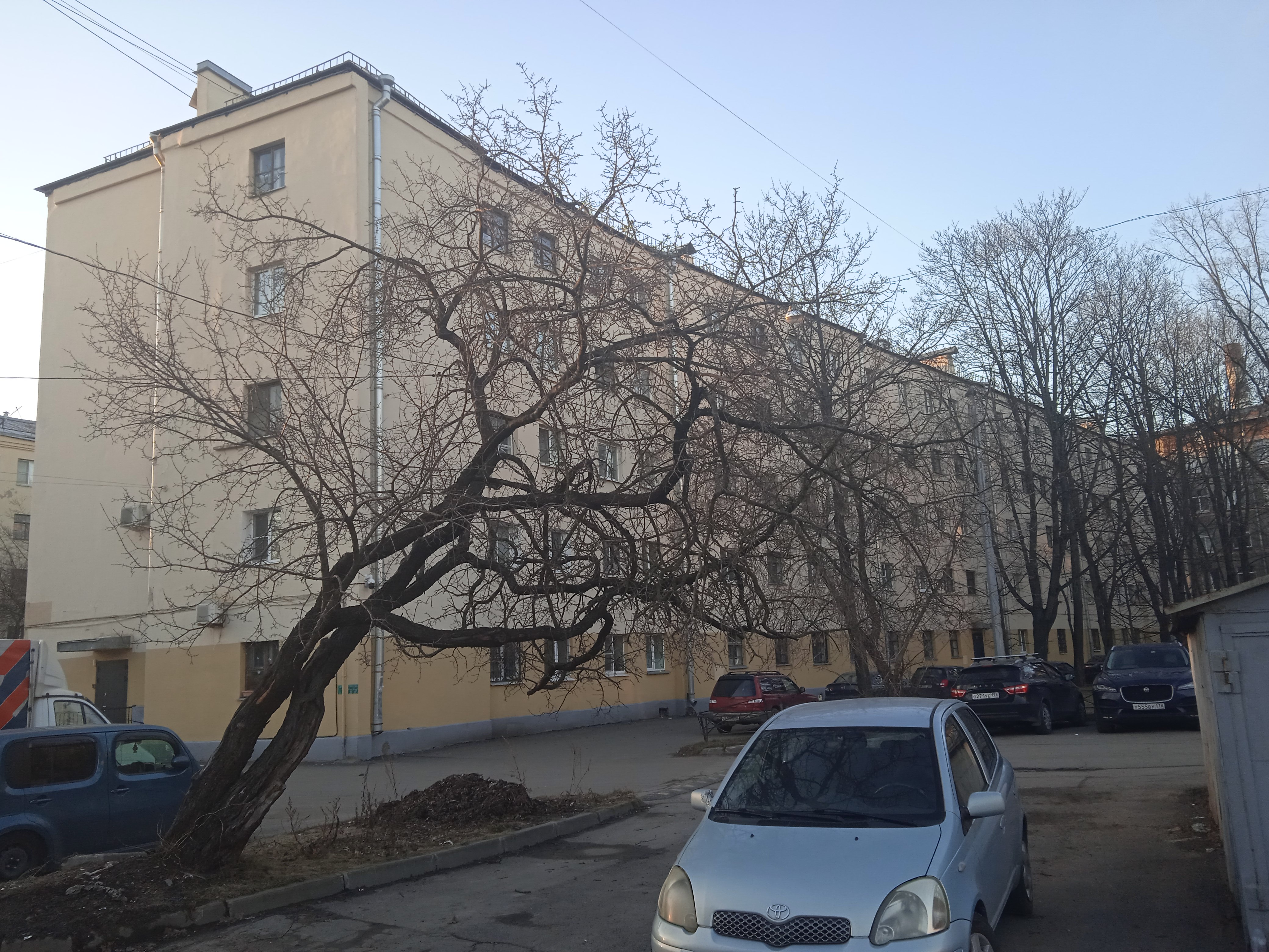 Решетникова 19_5.JPG