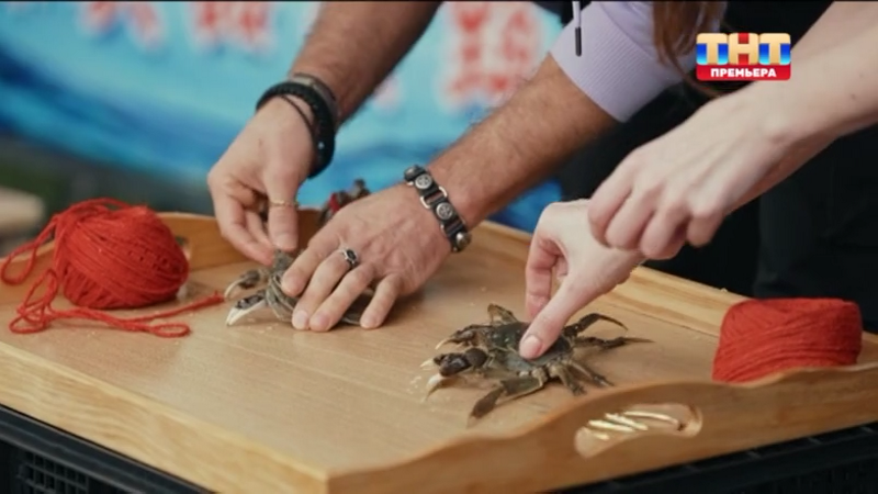 1ТНТ (+7)_20260412_124106.ts_snapshot_01.16.01.194.png