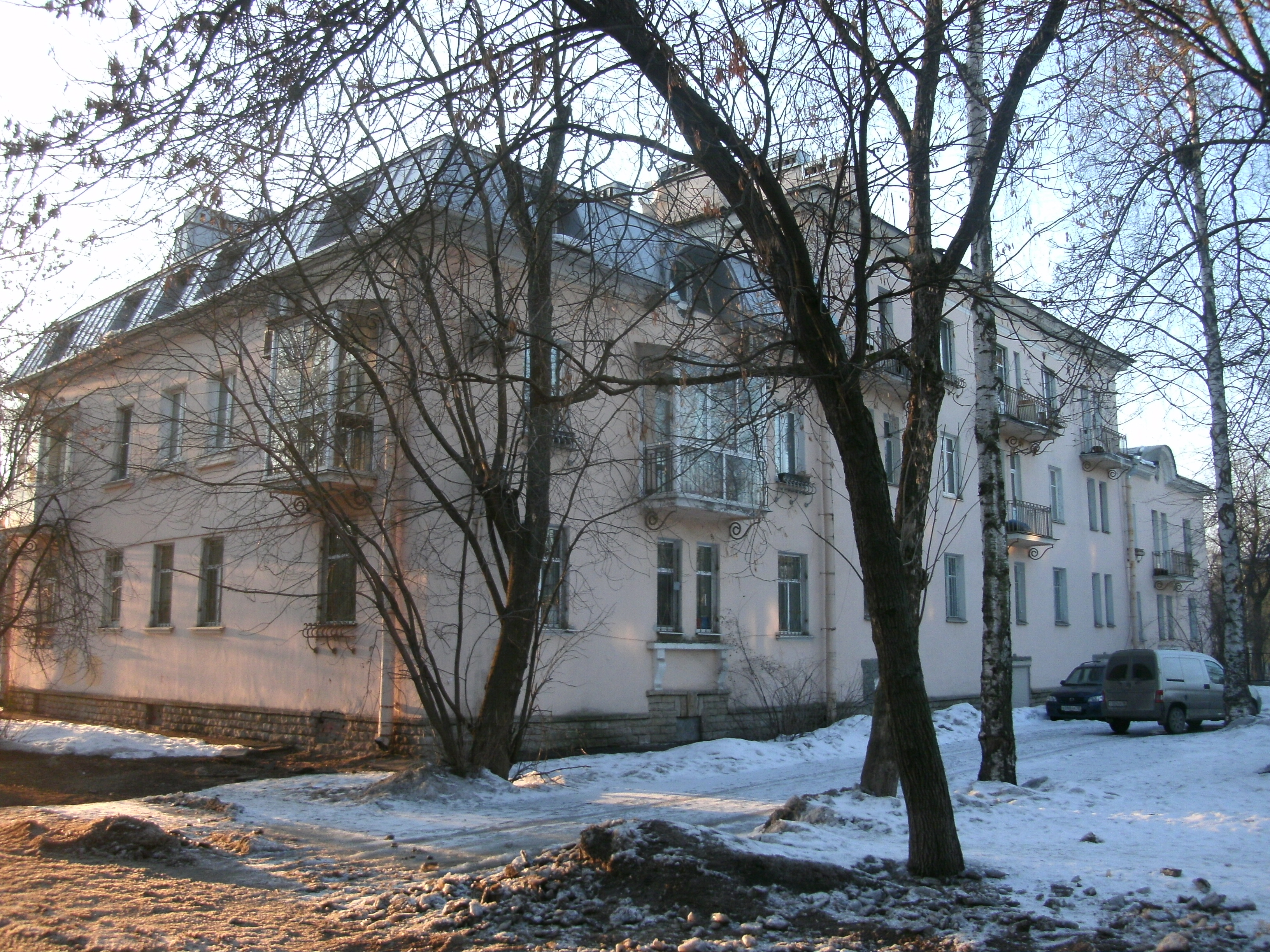 Савушкина 46.JPG