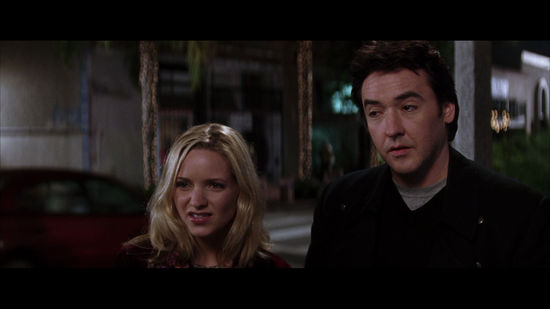 Must.Love.Dogs.2005.Warner.Bros.BDRemux.1080p.mkv_20260418_090959.635.png