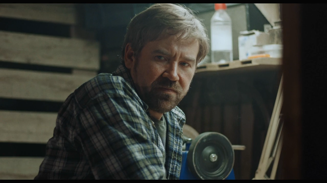 Rain 2020 WEB-DL 720p.mkv_snapshot_00.35.30.png