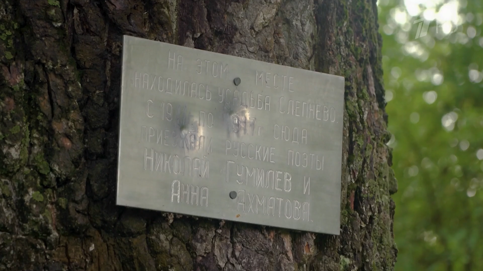 Гумилёв.Дочитавший.Илиаду.2026.WEB.1080p-ylnian.mkv_snapshot_01.39.18.873.png
