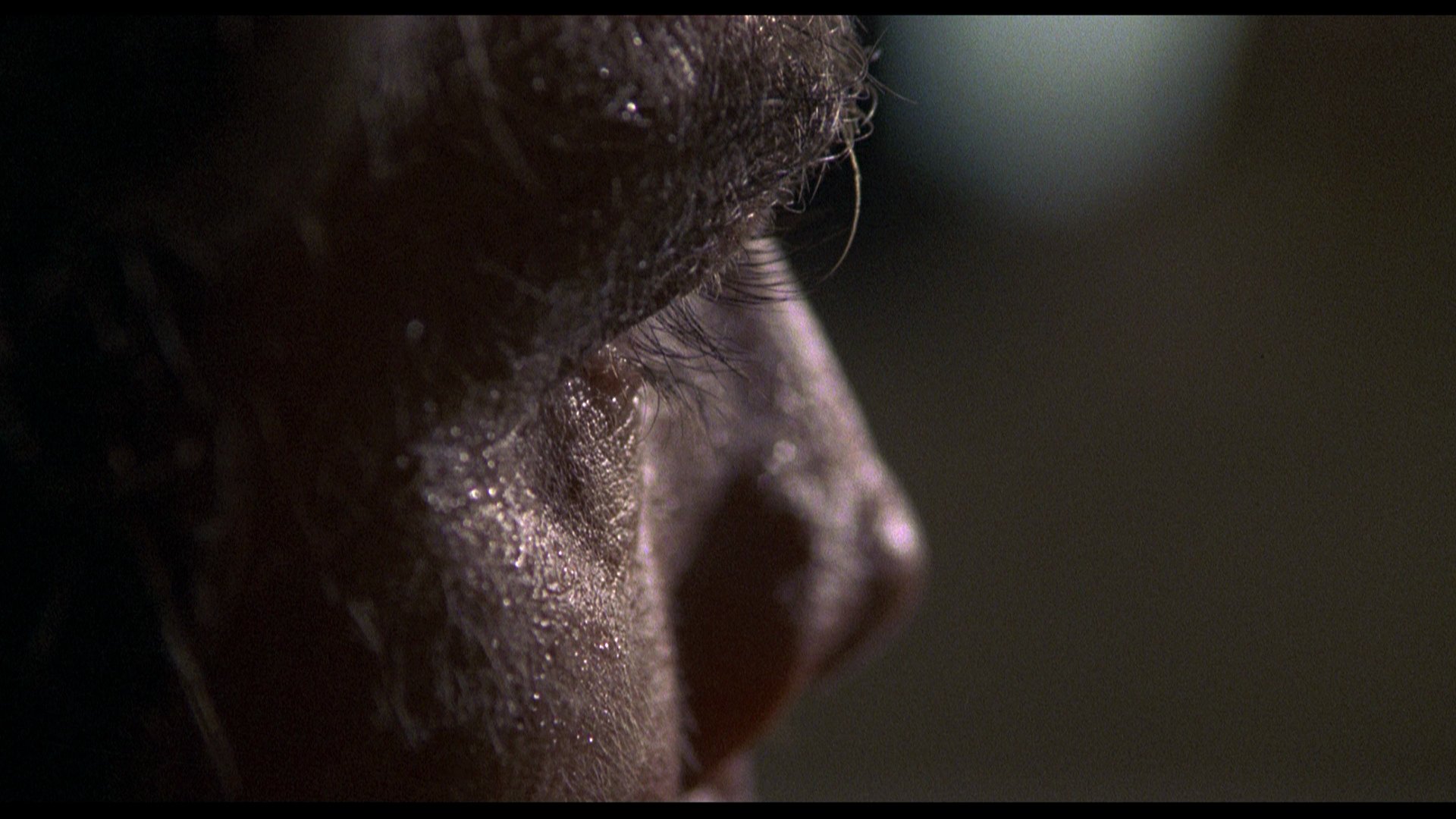 The.Mean.Season.1985.Koch.Media.BDRemux.1080p.mkv_20260419_114927.058.png