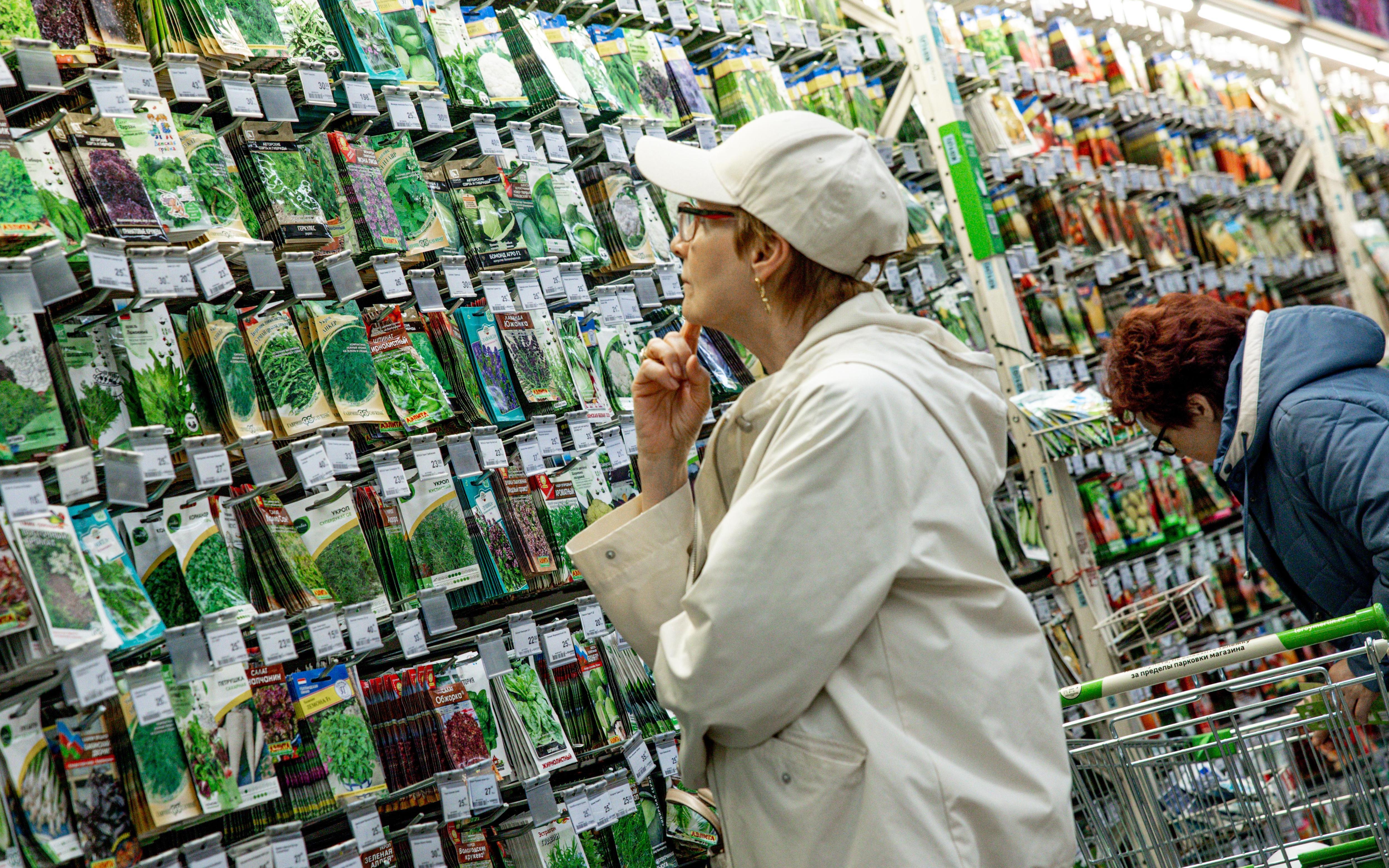 Мошенники обманывают дачников: как избежать ловушки с фальшивыми сайтами