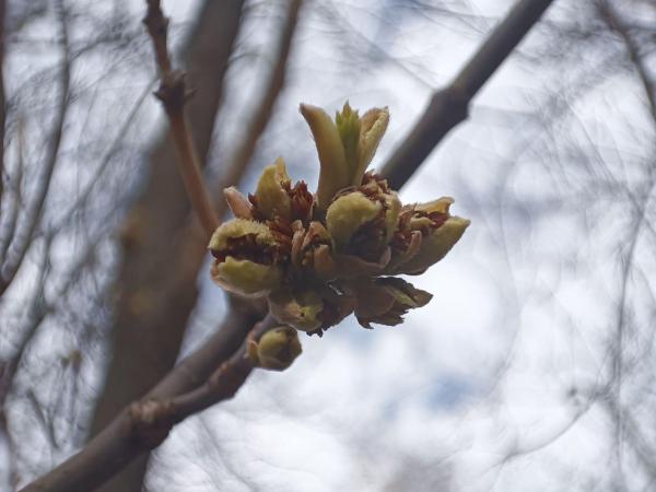 Погода в Пермском крае: прохлада и дожди в выходные 25-26 апреля