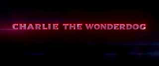 ����� ����-�� / Charlie the Wonderdog (2025/WEB-DL/WEB-DLRip)
