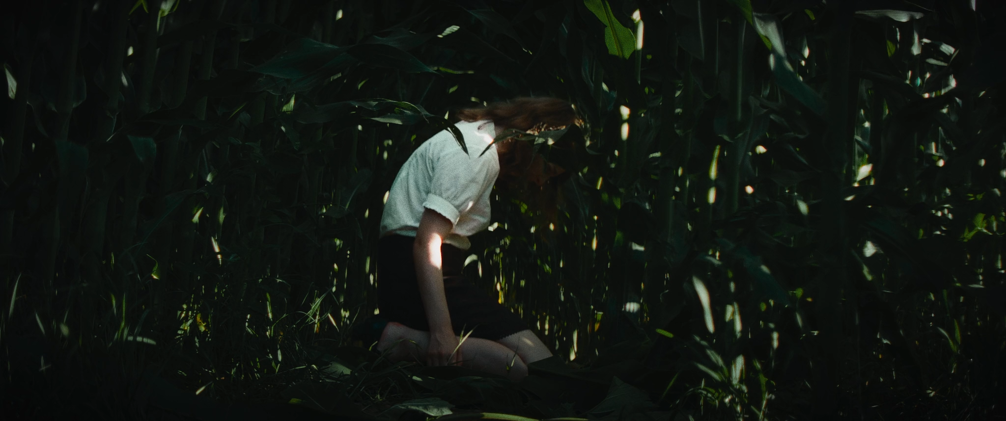 El Grito 2023 WEB-DL 1080p.mkv_snapshot_00.24.png