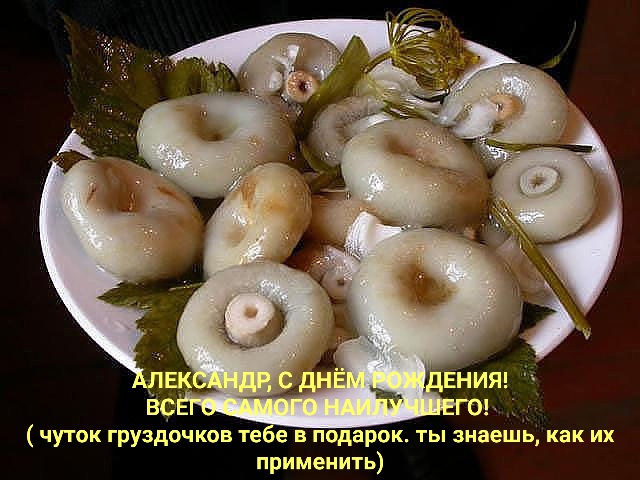 https://i6.imageban.ru/out/2026/04/25/3cc1f54b8fa76d1e4f9c89b1236572a0.jpg