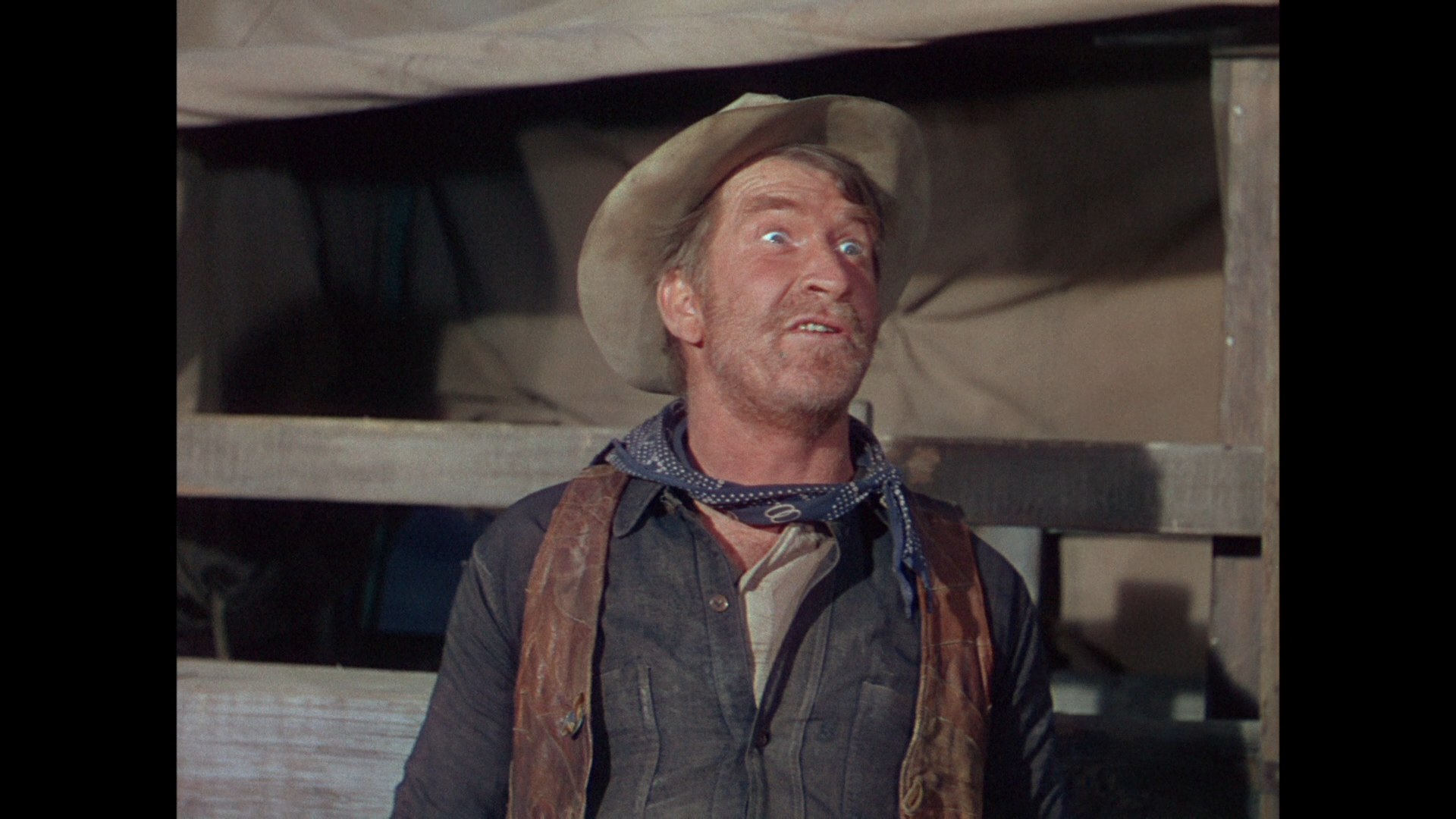 Cattle.Drive.1951.BDRemux.1080p.mkv_snapshot_00.21.20.573.png