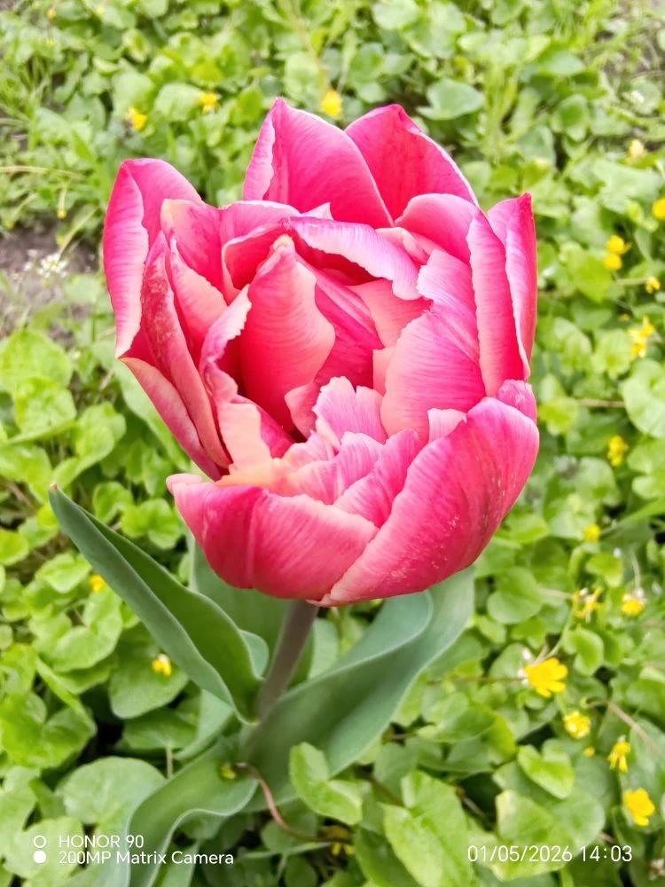 https://i6.imageban.ru/out/2026/05/01/246d5da42810f1b28846bc4c54ba62b8.png