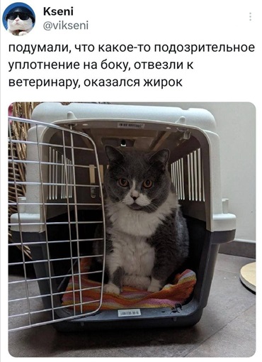 https://i6.imageban.ru/out/2026/05/01/47f383bfe5d78c8e7aae68c2e147b0b6.jpg