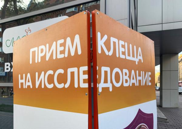 С начала сезона 508 жителей Пермского края пострадали от укусов клещей