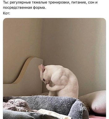 https://i6.imageban.ru/out/2026/05/01/ad1032ef812d3b0888e0f172c3cb8155.jpg