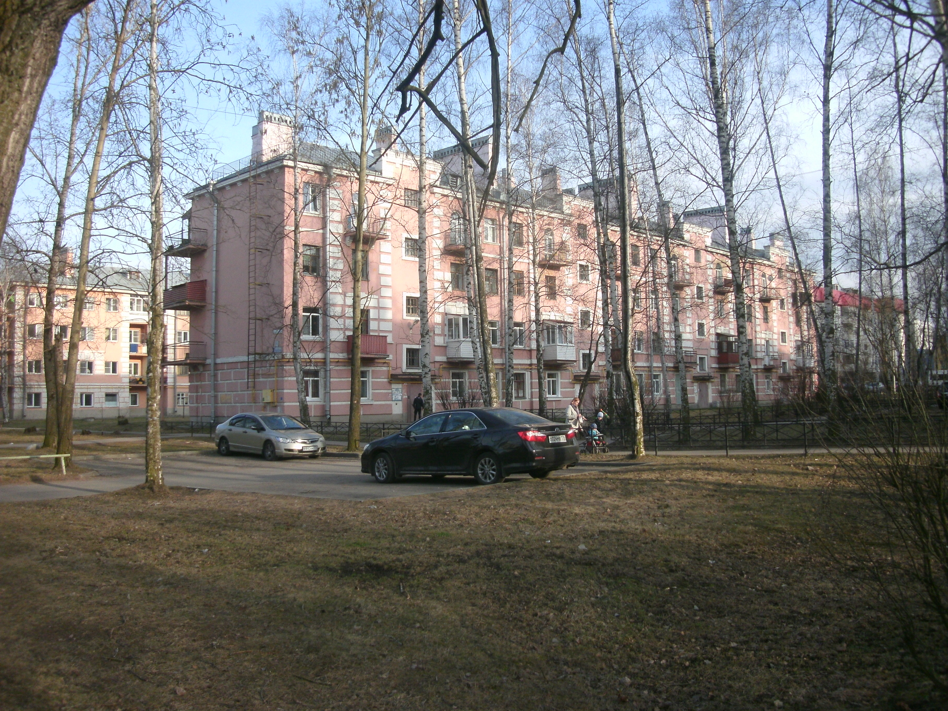 ул. Политрука Пасечника, 6