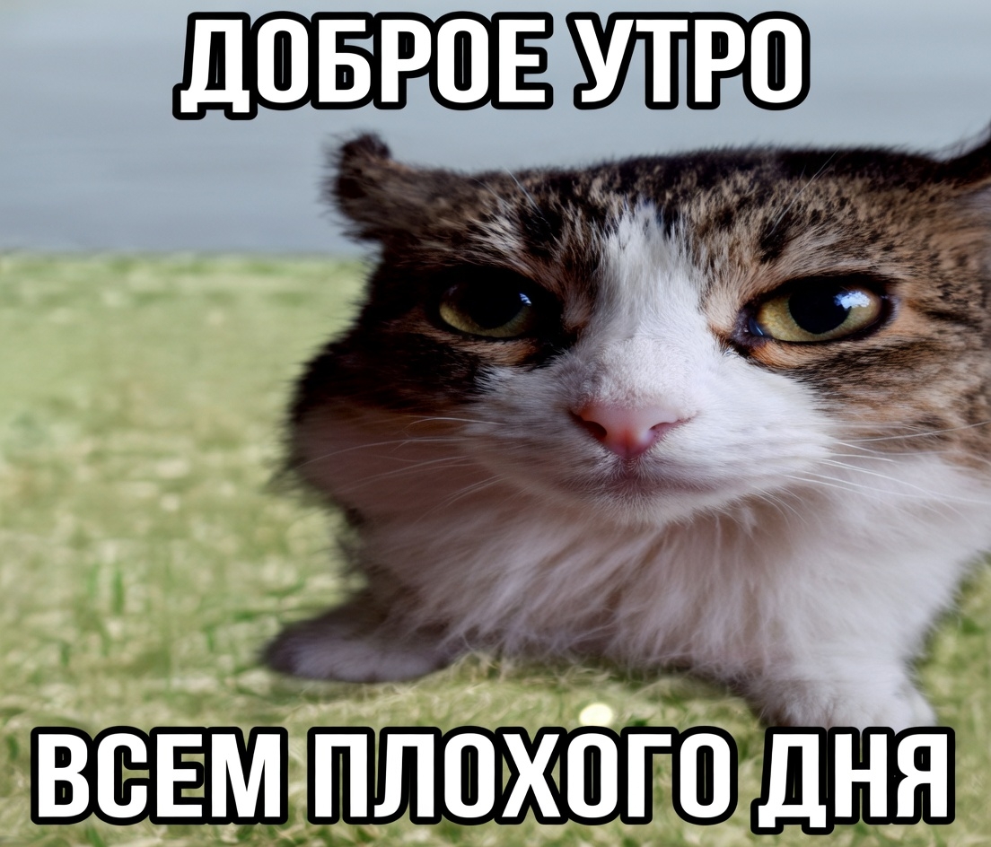 0N9mMnW9tX2hfOcY5fCYTrhvHajfvOzpvL7aXejl7lYB-5HzcorupEaHAZA7kLx1dDnd7WQf_LTZ_id9QktDbDxQ.jpg