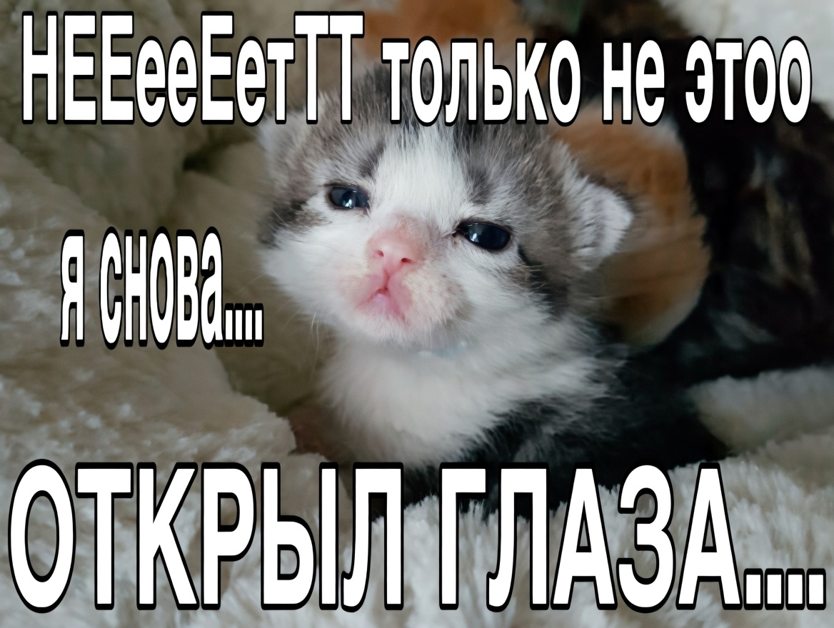 435nMU7lyNFm6iX5J0N5MHc0UIUu6aNAi381U_ZPYV-qeEHby-Wey0_dAOg1GF2gBTywLrlUR8_VtwmYF4wpStAU.jpg