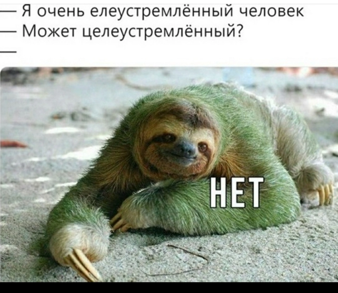 39b94d98139d0fe952838ca2a9d7d658.webp