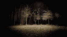 https://i6.imageban.ru/out/2026/05/06/3ffedb8748757c4c6c81b0e241b301b8.gif