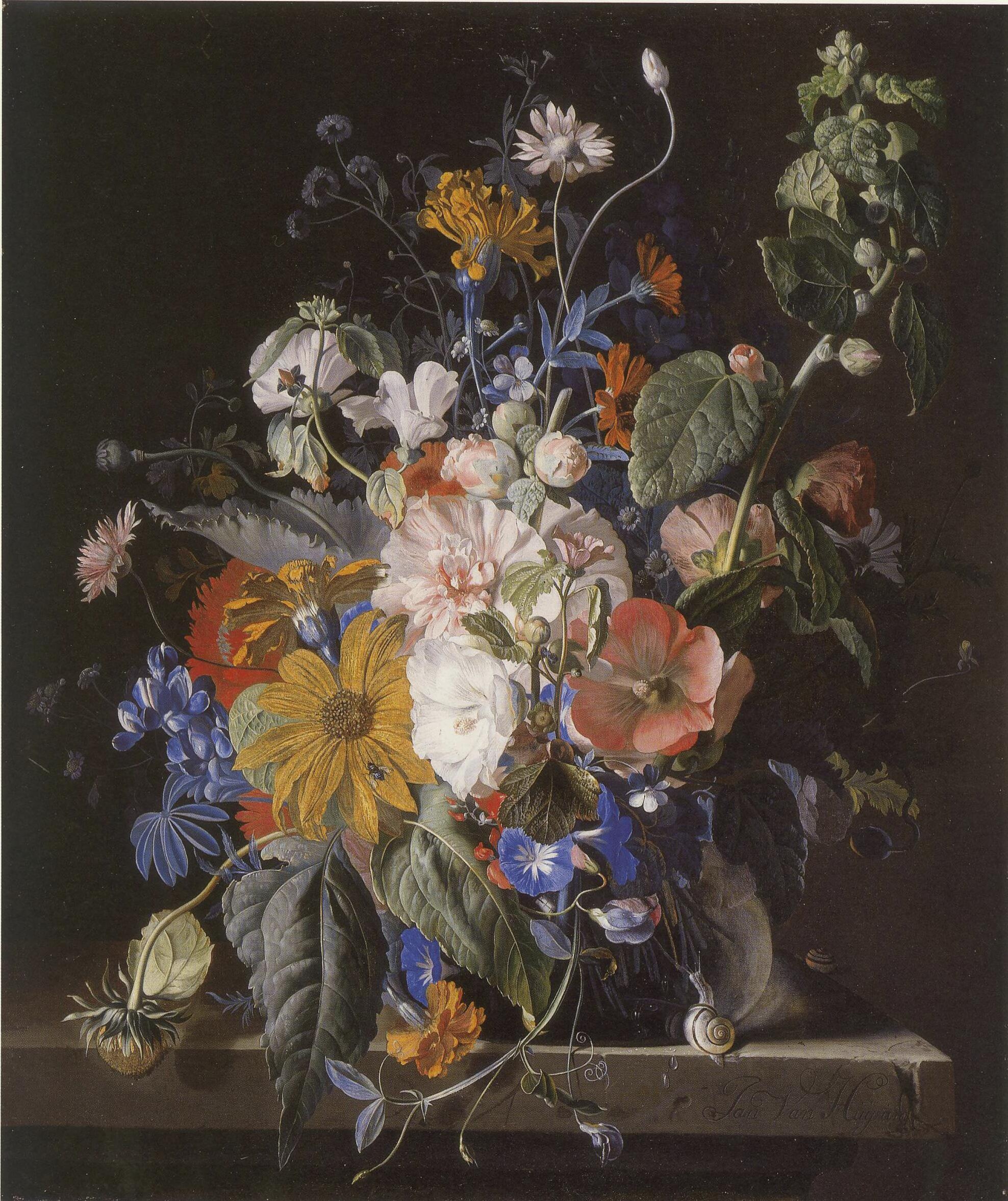 36Jan_van_Huysum_-_Flower_still-life_and_snails_on_a_stone_ledge.jpg