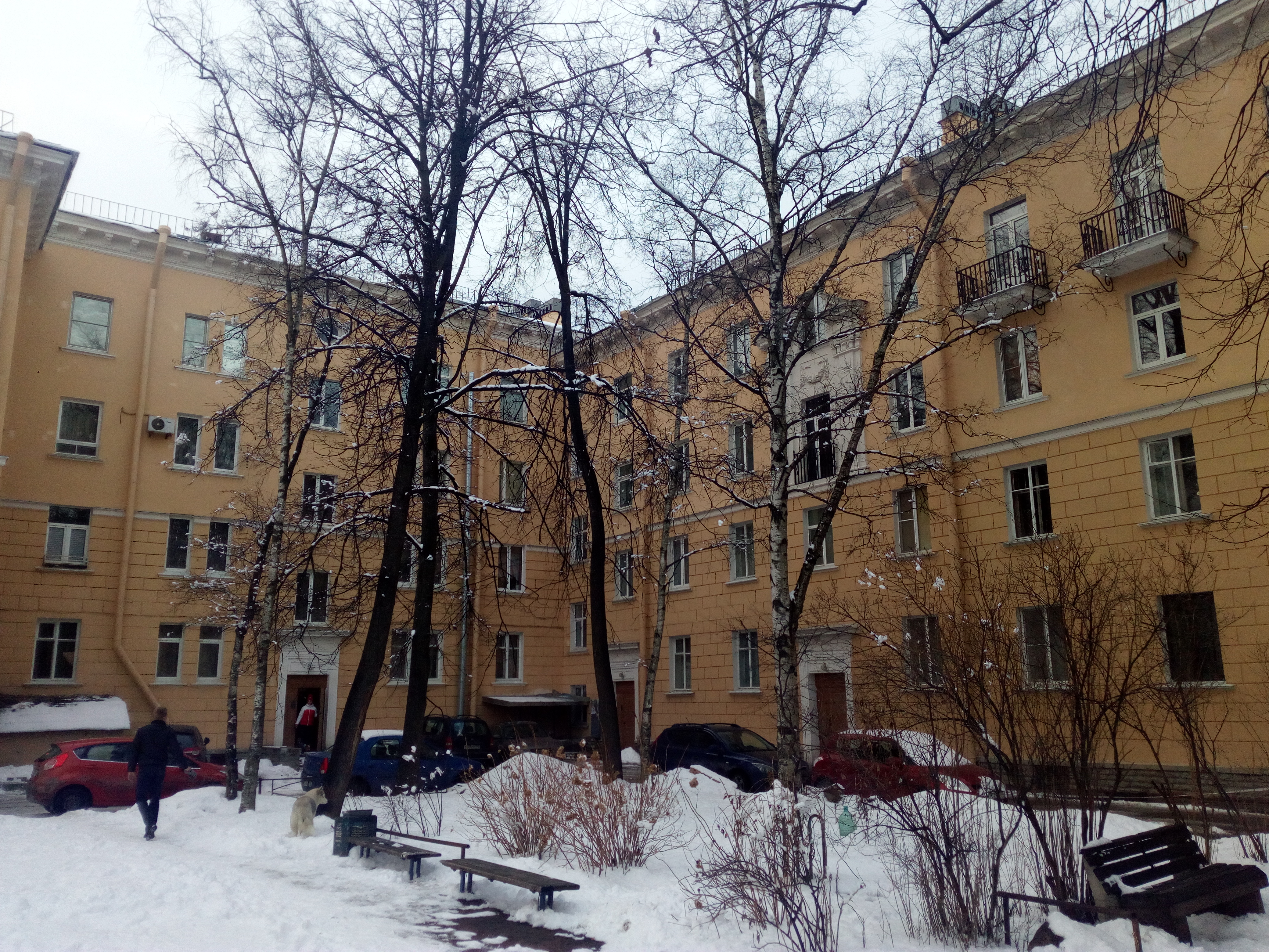 Савушкина 56_4.jpg