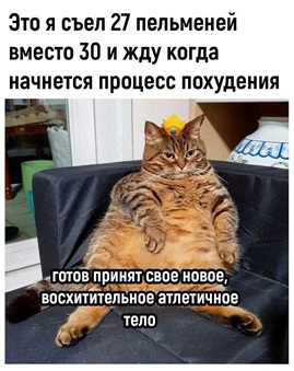 https://i6.imageban.ru/out/2026/05/09/0ec46f4b145fefdbd1373cce09561689.jpg