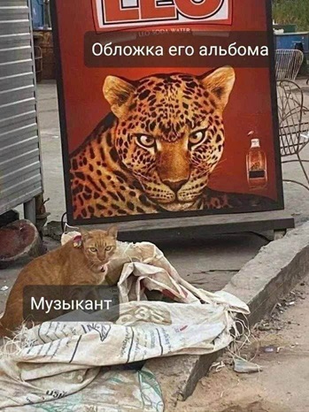 https://i6.imageban.ru/out/2026/05/09/428f6d27a82e49c1ab82578d87bc7dec.jpg