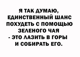 https://i6.imageban.ru/out/2026/05/09/4d905a8ac8f291c25cc1a66cc21669eb.jpg