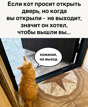 https://i6.imageban.ru/out/2026/05/12/3815a60fd5c80465bfdb3fc18cf6b0d6.png