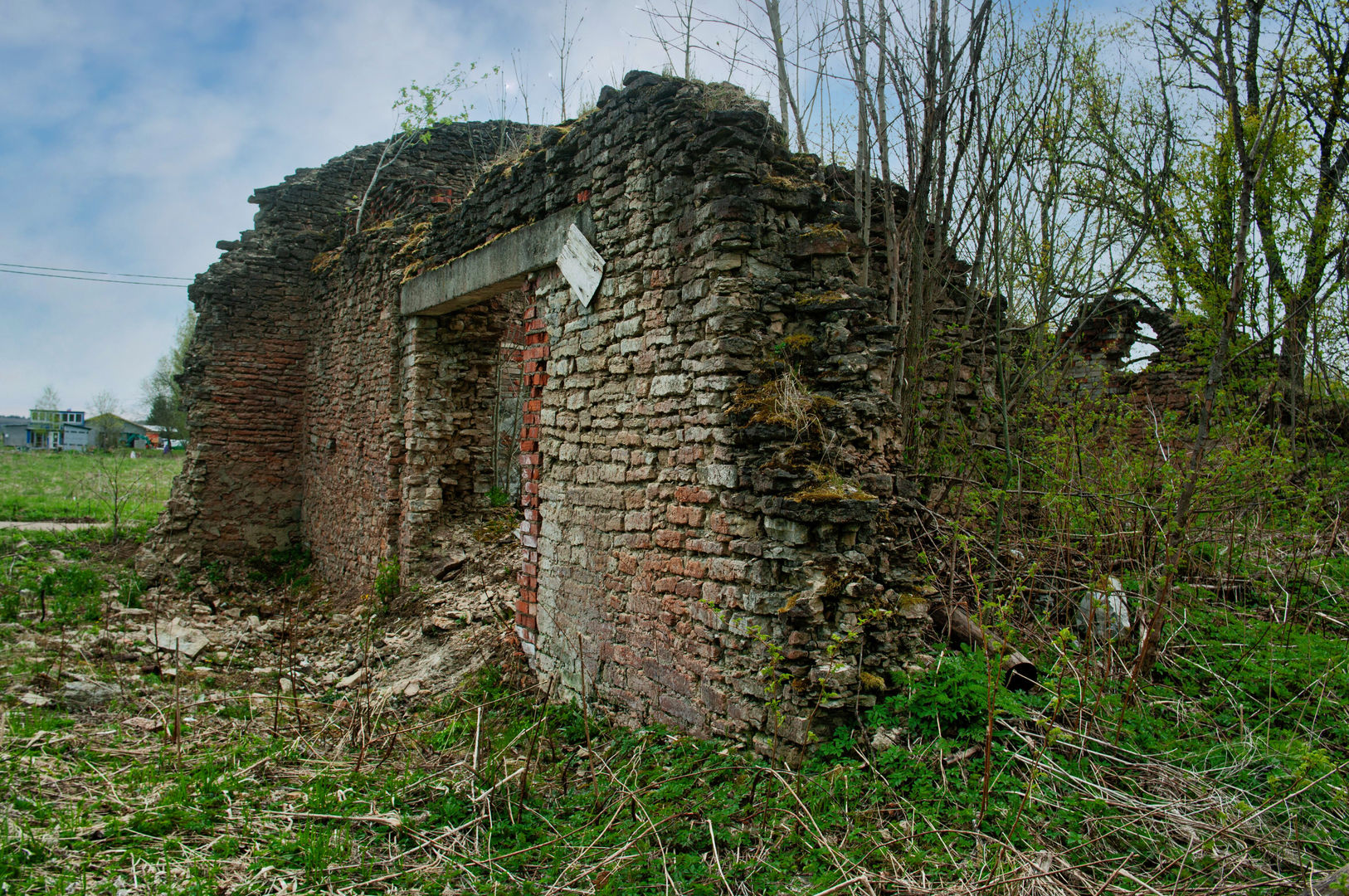 _9682(1)_SL.jpg