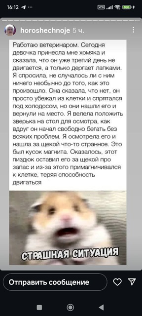 https://i6.imageban.ru/out/2026/05/17/acb16f856ee634dcd69459516744923c.jpg