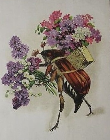 https://i6.imageban.ru/out/2026/05/18/cf811500fe55ff6772f7957cda917e6c.jpeg