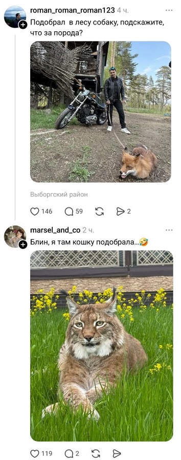 https://i6.imageban.ru/out/2026/05/20/52a47f8ebd8f7d4144b290fcad2db1e4.jpg