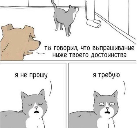 https://i6.imageban.ru/out/2026/05/23/87935e41711e8aca39294265656068fa.jpg