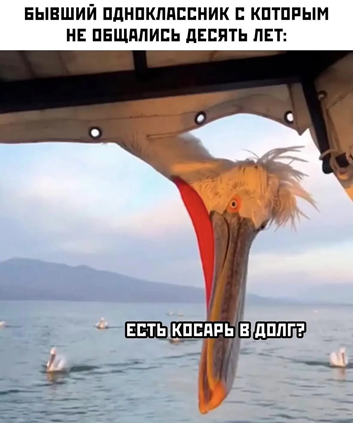 https://i6.imageban.ru/out/2026/05/23/d78fa965fc9e99aaa47138901b6654fb.png